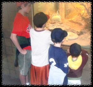 My wild ones at the zoo 2006