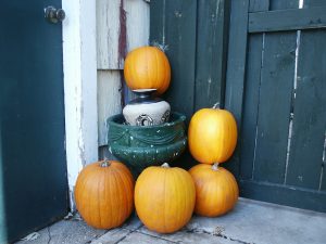 autumn-207854_1280-1